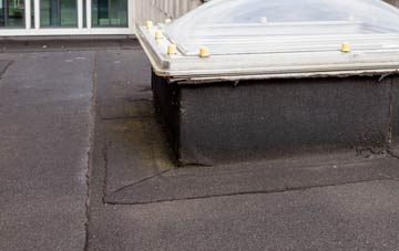 disadvantages of Narfords flat roofs