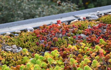 the cost of Narfords green roof installation